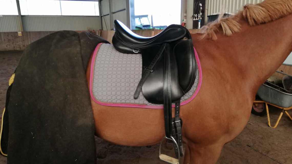 Sadlen – Den korrekte sadel til hest og rytter